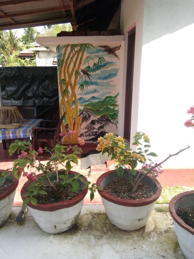 לינה וארוחת בוקר Bentota Orchid House מראה חיצוני תמונה