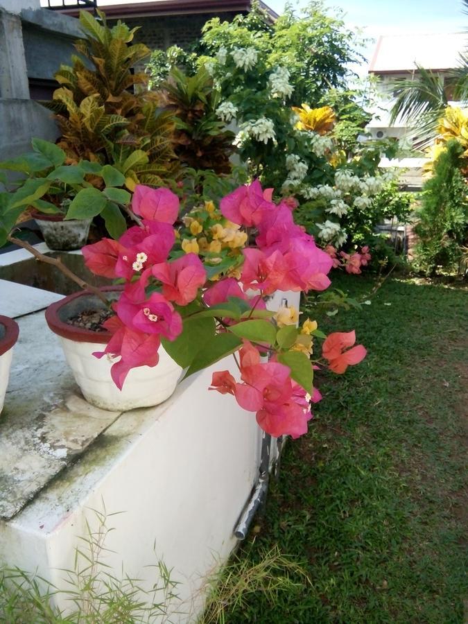 לינה וארוחת בוקר Bentota Orchid House מראה חיצוני תמונה